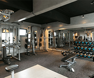 BRACE GYM