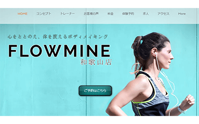 FLOWMINE