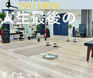 PRO BRISE（プロブリーズ）
